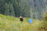 Walking an estuary in the Great Bear Rainforest