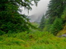 In the heart of the Great Bear Rainforest