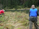 Wildlife photography in the Great Bear