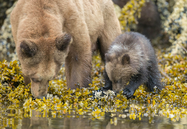 Learning what to eat