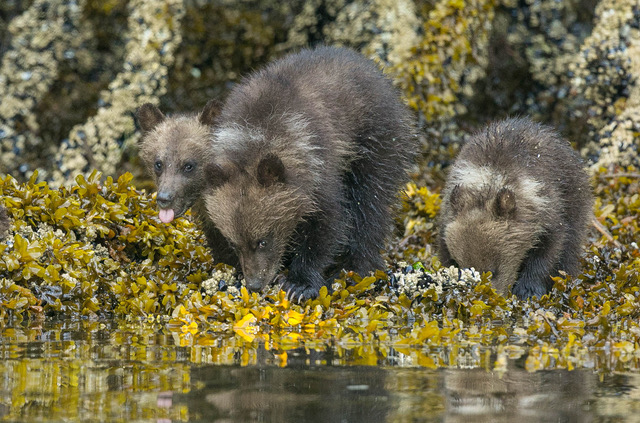Some are more shy than others
