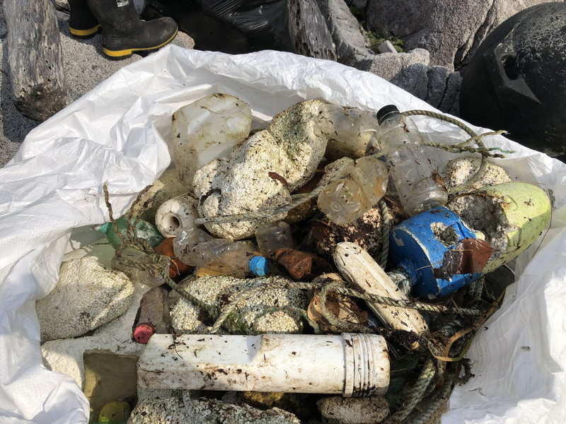 Pile of Marine Debris