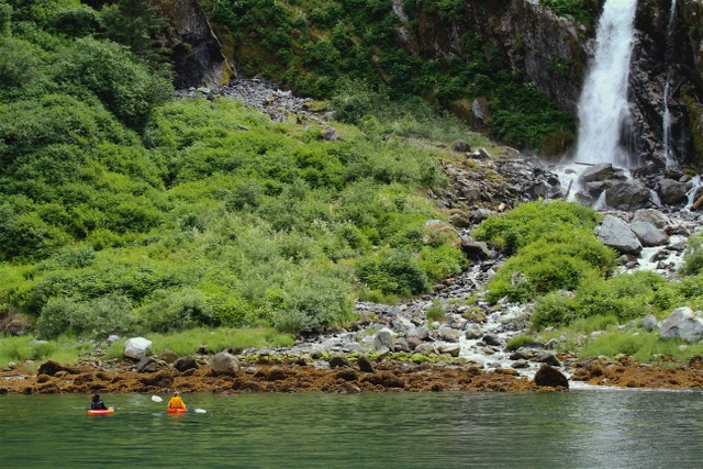 Paddling in the heart of the Great Bear Rainforest