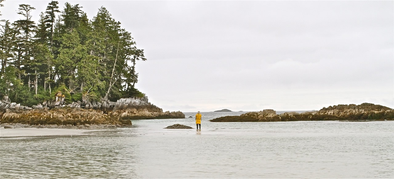 Standing at the edge of the Great Bear Rainforest