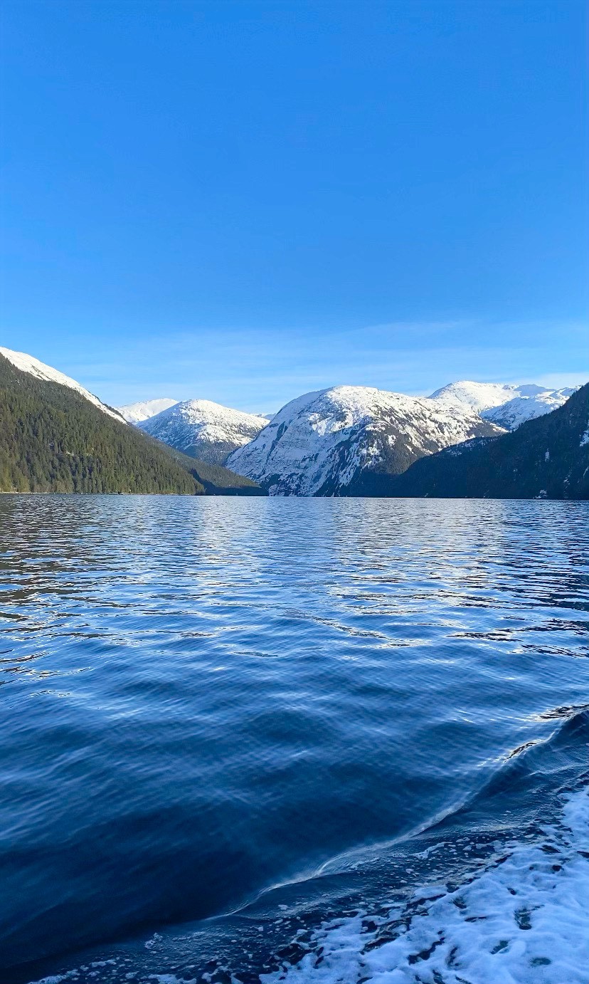 Winter in the Great Bear Rainforest