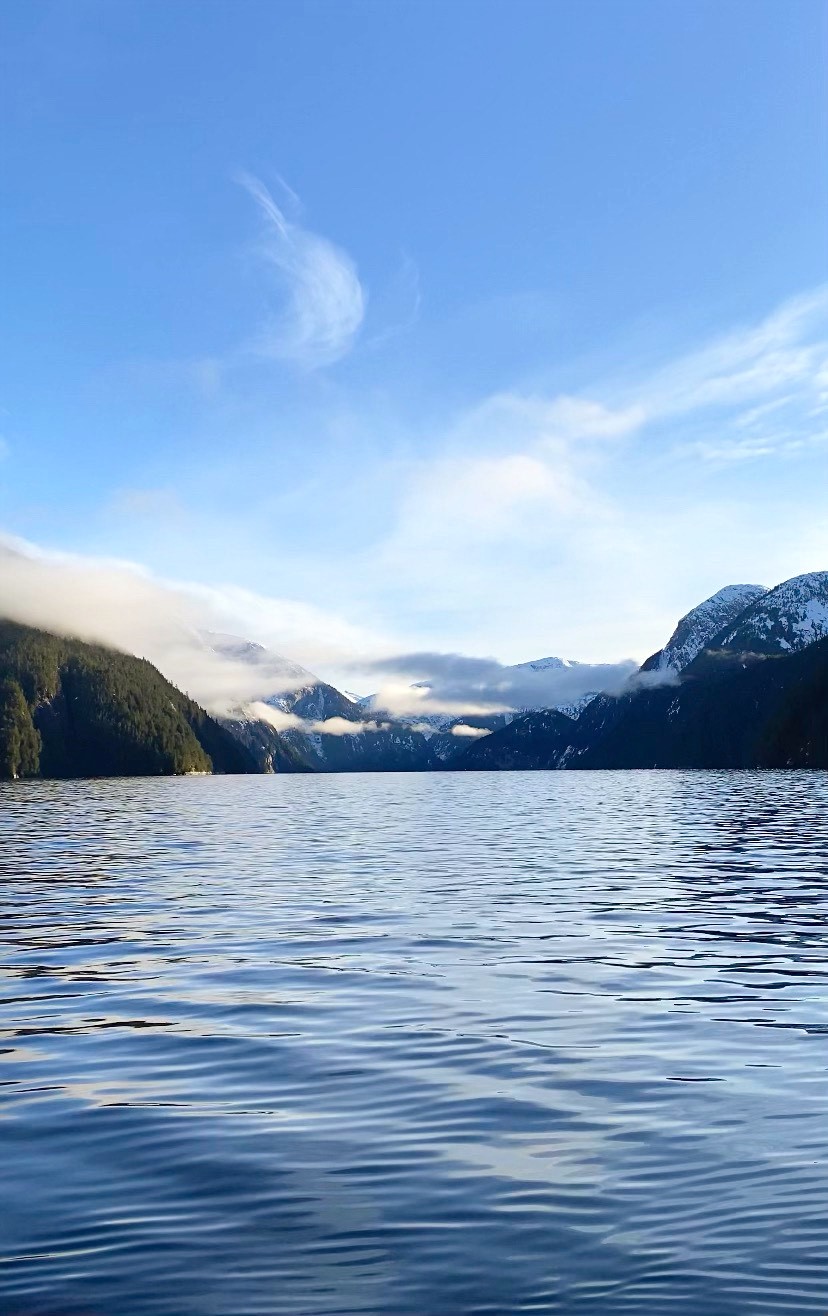 Winter in the Great Bear Rainforest