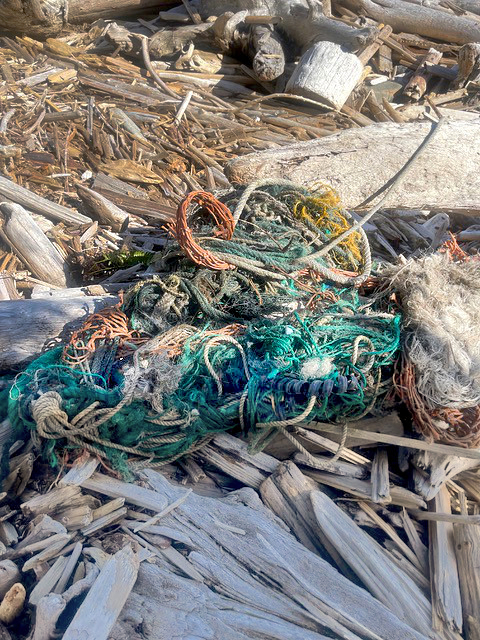 Marine Debris - Photo Credit: Cindy Lewis