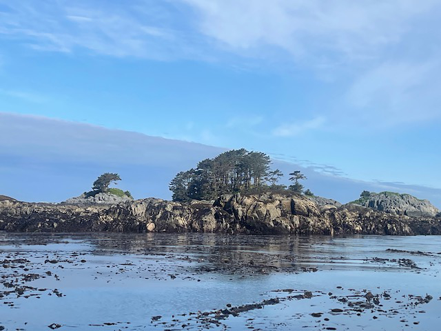 Shoreline - Photo Credit: Cindy Lewis