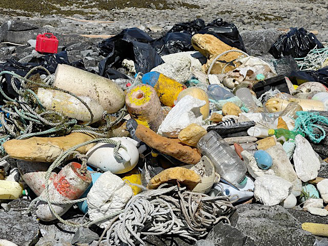 Marine Debris - Photo Credit: Cindy Lewis