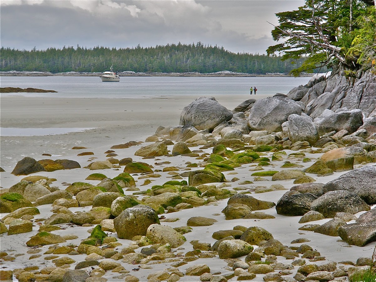 Walk on the sand at low tide