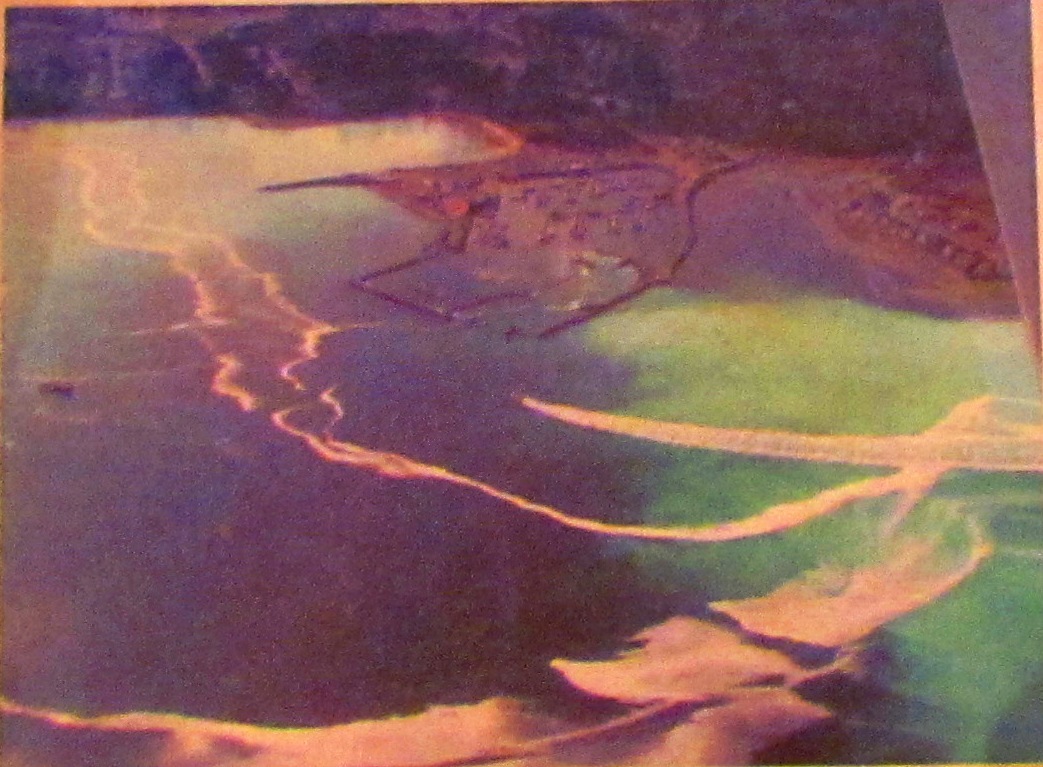 Aerial view of herring spawn