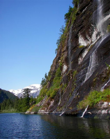 Great Bear Rainforest