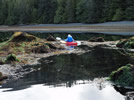 Paddling Burnaby Narrows