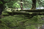 Old House Pit - Tahnoo