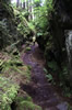 Walk to Old Village