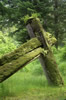 Part of Old Longhouse