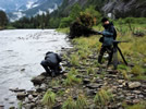 Filming returning salmon