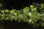 A pause for reflection