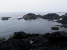 The view from the Gordon Islands 