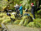 Bear viewing in the Great Bear Rainforest