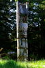 Haida Mortuary Pole 