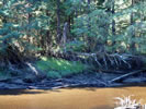 Remains of the Golden Spruce - across Yakoun River ~ Photo Credit: R.Watkiss