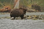 Eating leftovers in the rain