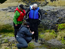 Intertidal lesson with Eloise (courtesy Mary)