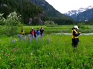 Enjoying the wildflowers & scenery in the Great Bear Rainfoest