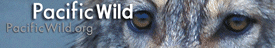 Pacific Wild Logo