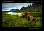 Photography of Patrick DiFruscia