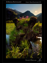 Photography of Patrick DiFruscia