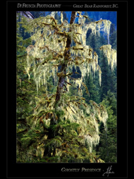 Photography of Patrick DiFruscia