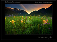 Photography of Patrick DiFruscia