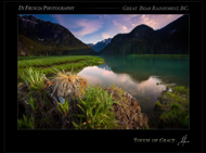 Photography of Patrick DiFruscia